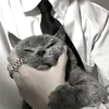 tvv__o