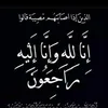 user235391182737