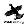 WildLifeBlog