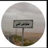 daliaahmed6778