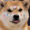 Pawtastic >~< 🐾🩷🎂