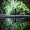 名の無い旅人