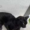 carloss__at