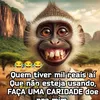 chapeleiro019