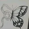 lq._rr