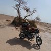 _el_sahrawi_