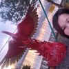 user7328007543781