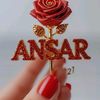 ansar.mehmood5376
