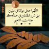 shahd1406
