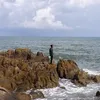 ariphin0