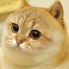 seeu.p