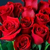 thm.l3775