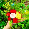 rojaahmed012345678