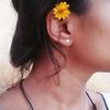 user8666076175253