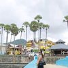 waiwai0144