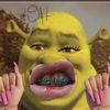 gingerthezoo