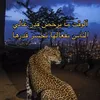 user8398003360076