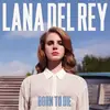 lanadelreysbabyflower