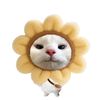risolmayo262