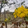 tonynguyen3939