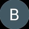 bramvis1