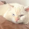 mochiola07