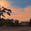 aulia23_put
