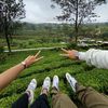 notname_233