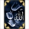 gunesin_24