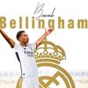 bellingham.521