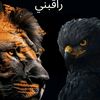 user4814323782079
