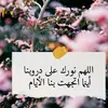 user731399720013