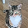luckylooook