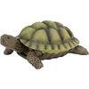 turtletu