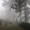 np._1_