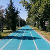 zelihasar7