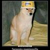 marinjrs