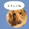 mocoharumocoharu