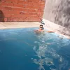 fifavicio