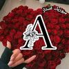 ashraket.ahmed2