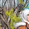 sidra_7l