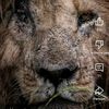 sa9er.tounsi