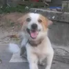 chuchocute01