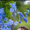 naheedmalik0453