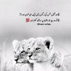 zahidmughal5234206