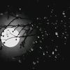 im.rizwan21