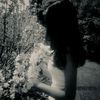 loly757527
