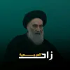 زاد المرجعية