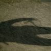 bl.pnd_fg