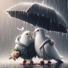 umme.habiba.islam59